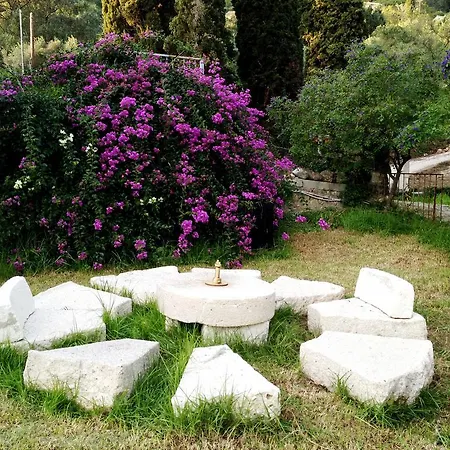 Villa Old Olive Presse *