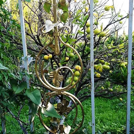 Villa Old Olive Presse